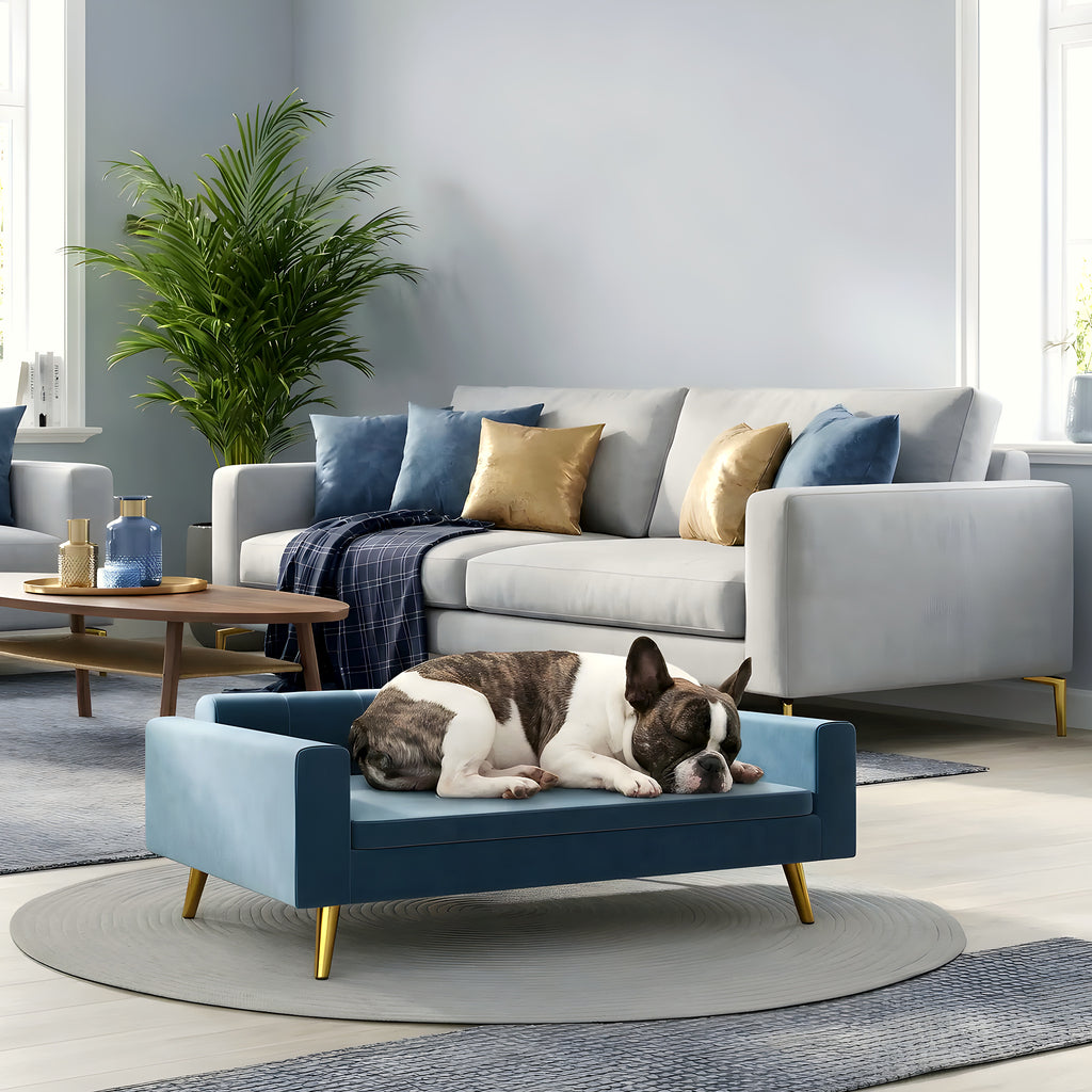 Petit canapé scandinave bleu pour chien