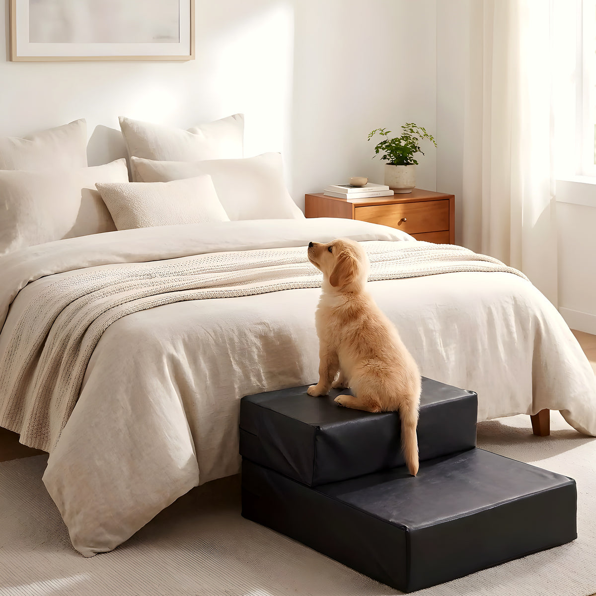 Petit escalier 2-en-1 en cuir PU pour chien, escalier ou matelas
