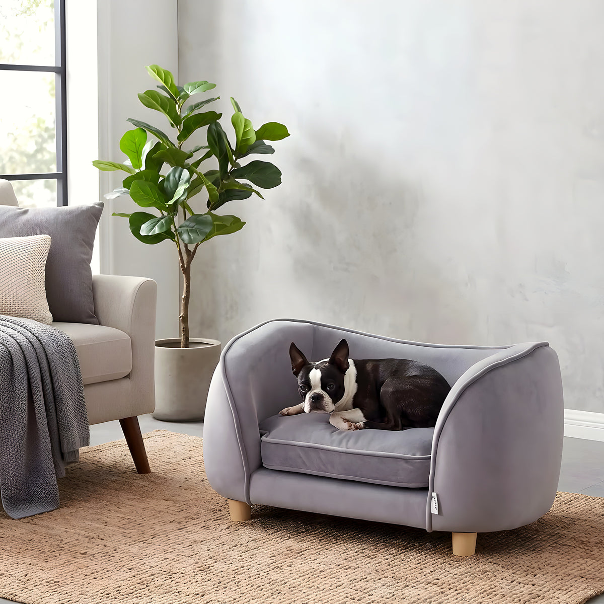 Petit fauteuil en velours gris pour chien