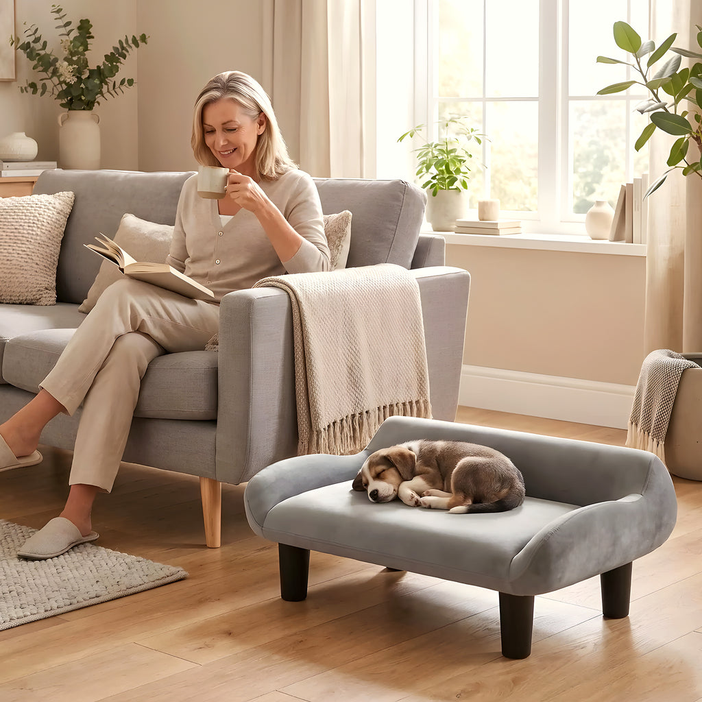 Petit fauteuil sur pieds en velours pour chien