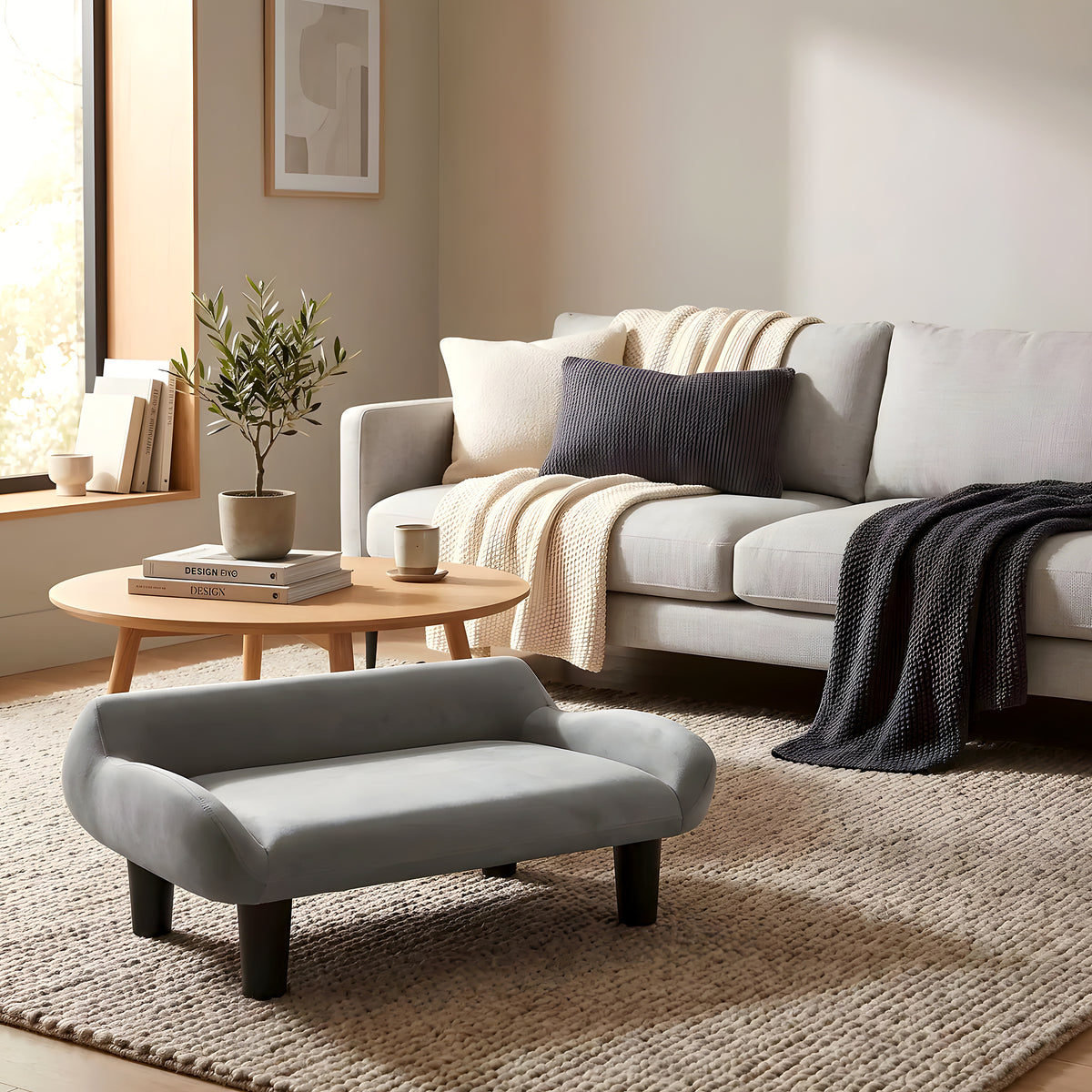 Petit fauteuil sur pieds en velours pour chien