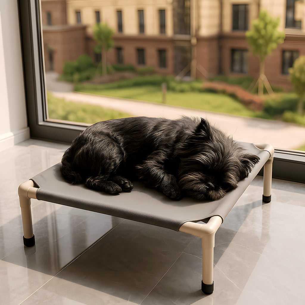 Petit lit de camp 52 x 52 cm pour chiot, 4 coloris