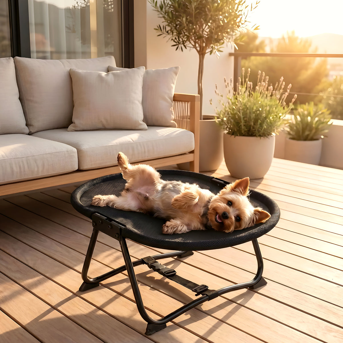 Petit lit de camp chaise pliable pour mini chien