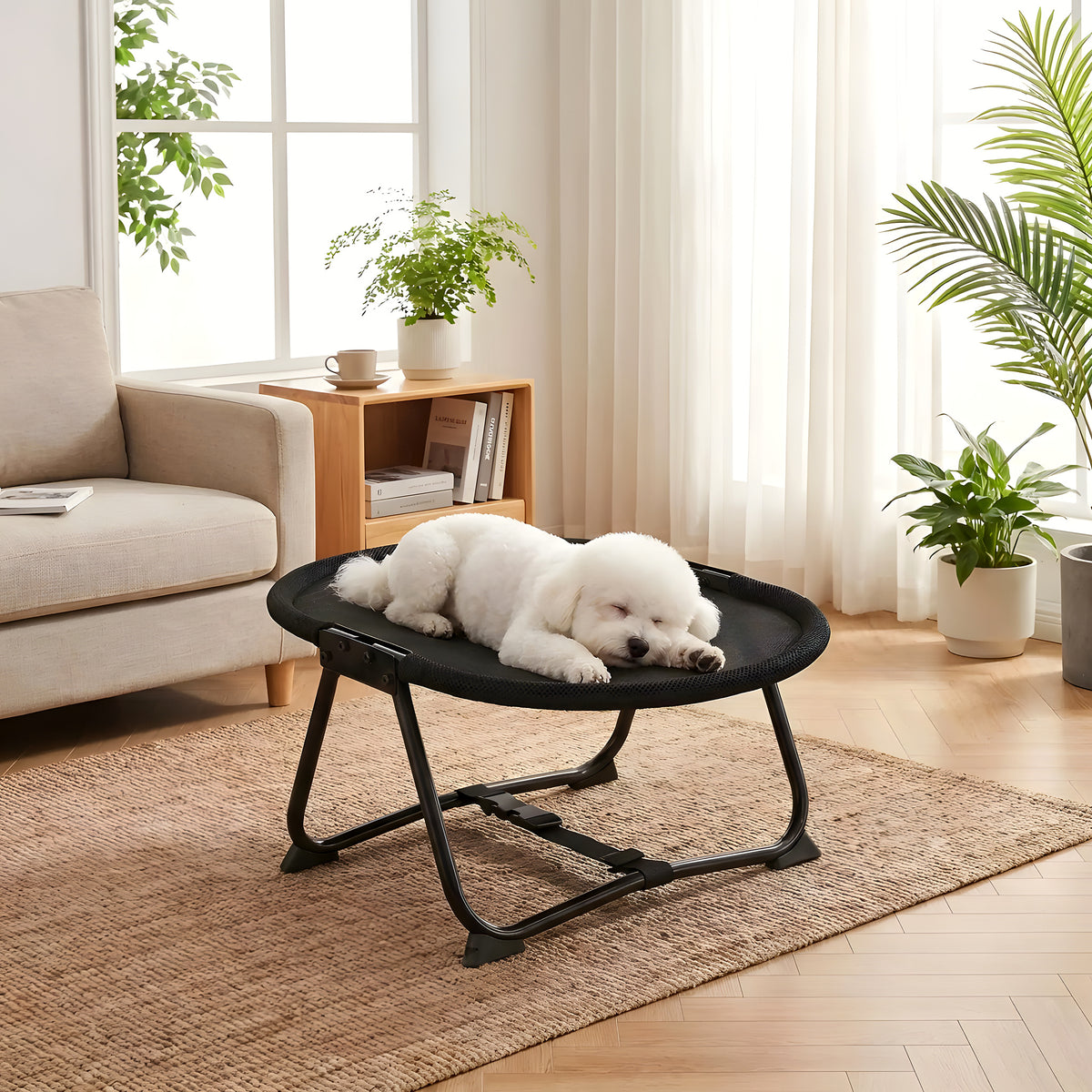 Petit lit de camp chaise pliable pour mini chien