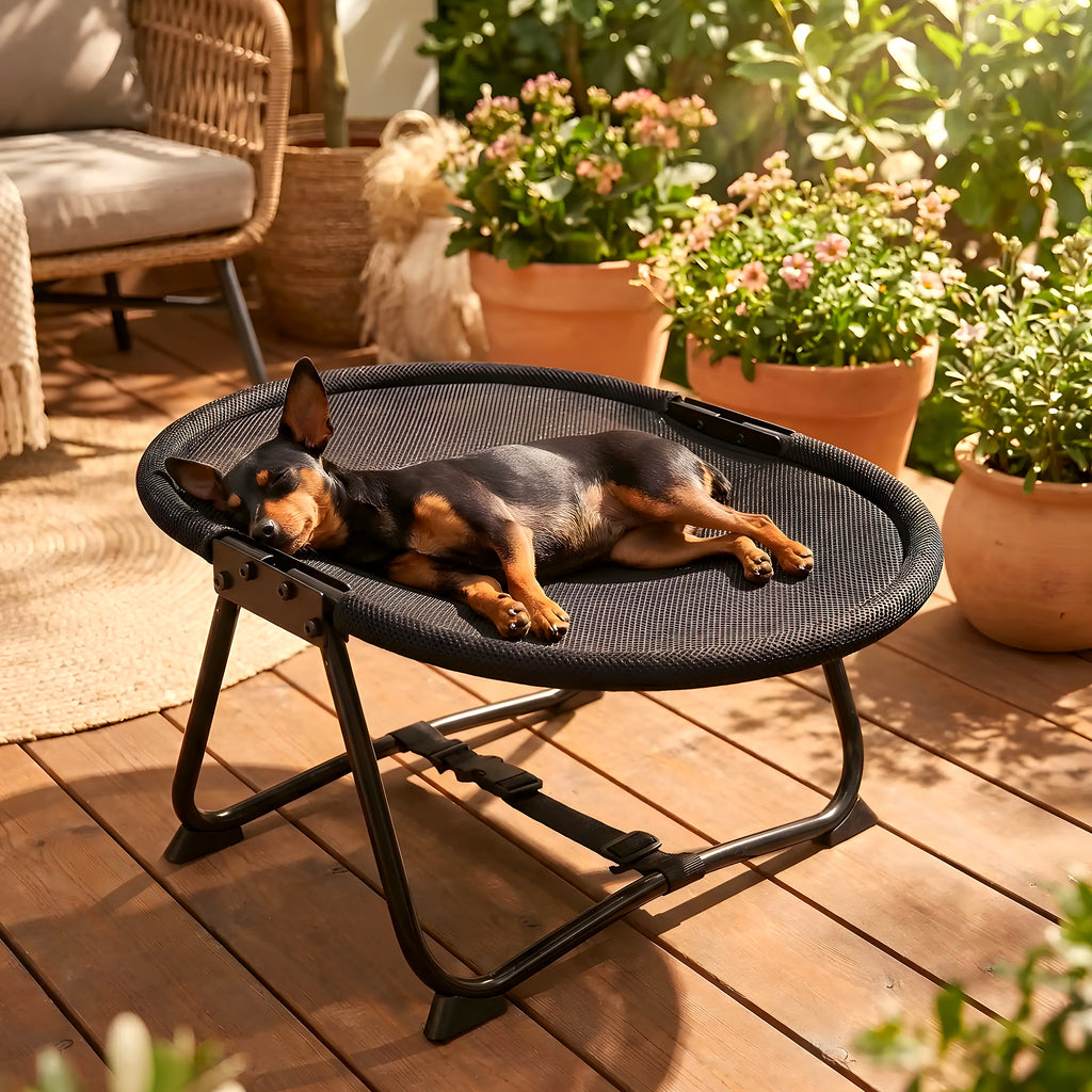 Petit lit de camp chaise pliable pour mini chien