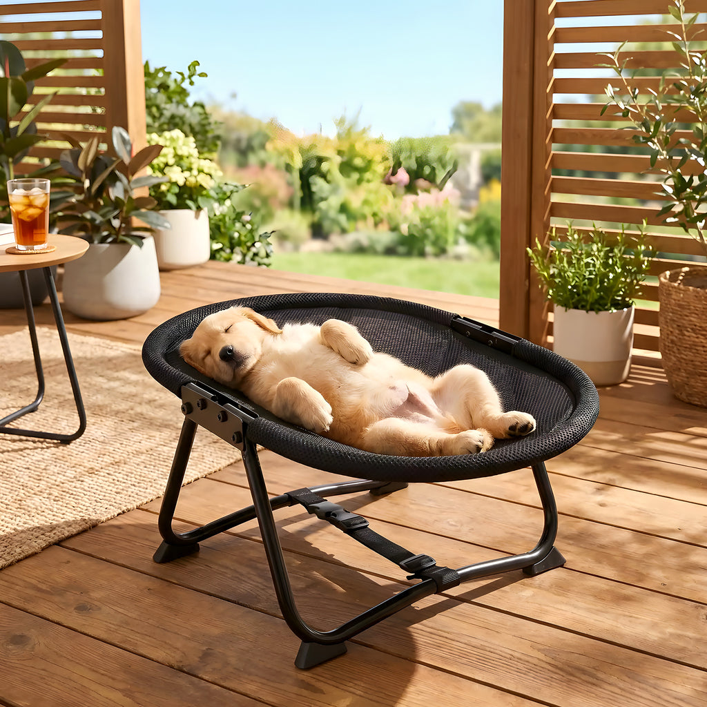 Petit lit de camp chaise pliable pour mini chien