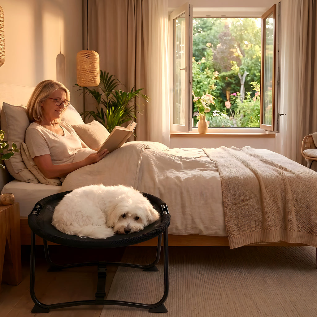 Petit lit de camp chaise pliable pour mini chien