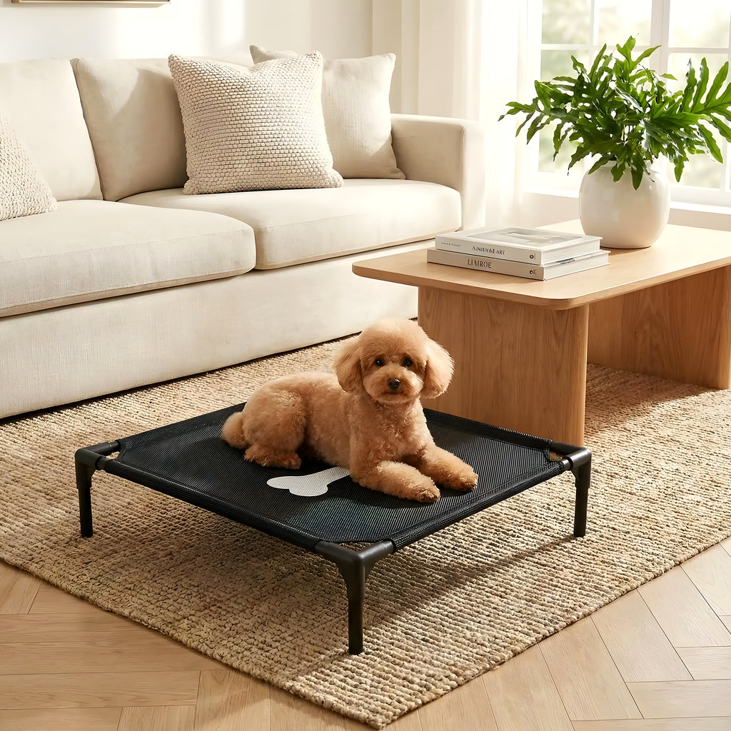 Petit lit de camp design os pour chien jusqu'à 7 kg