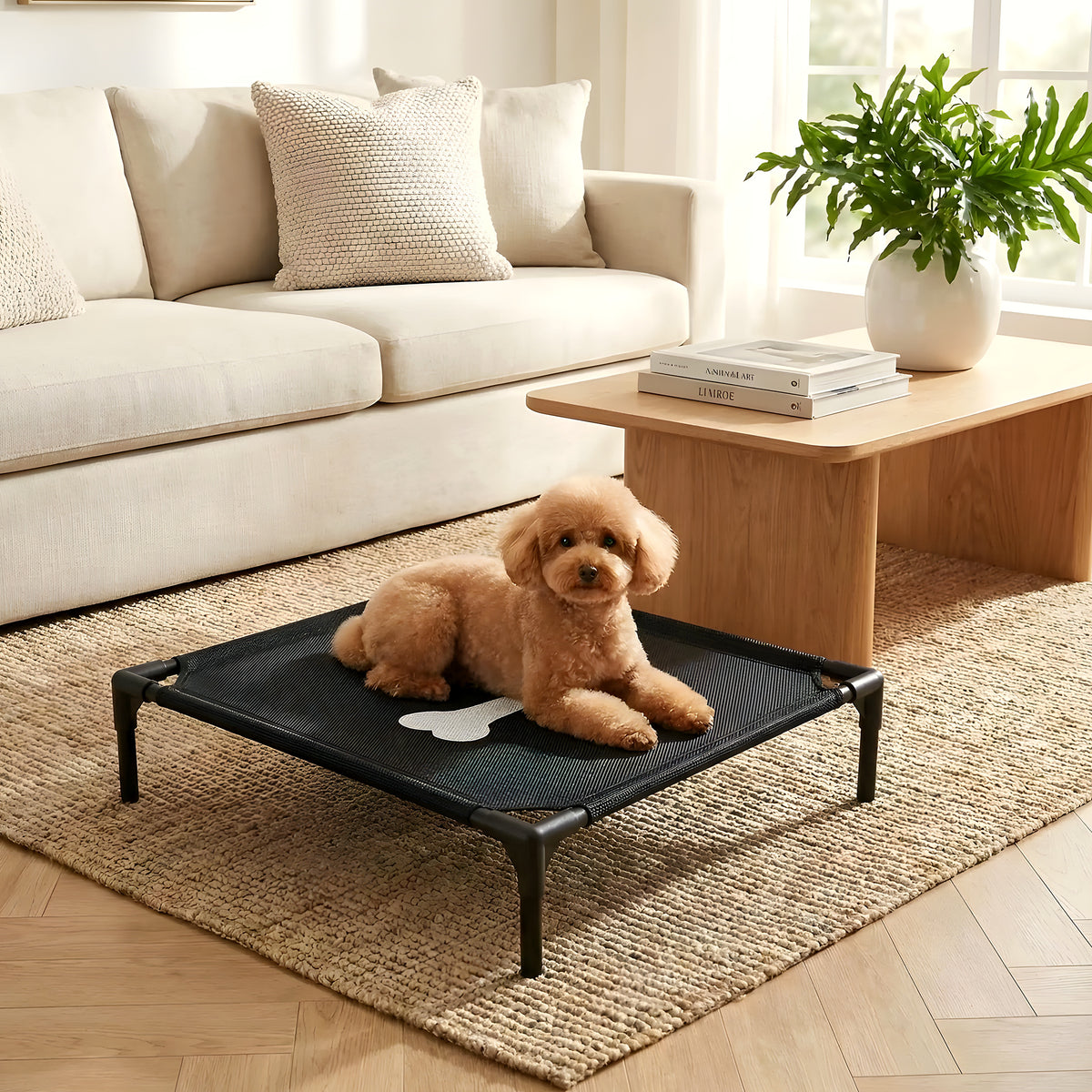 Petit lit de camp design os pour chien jusqu'à 7 kg