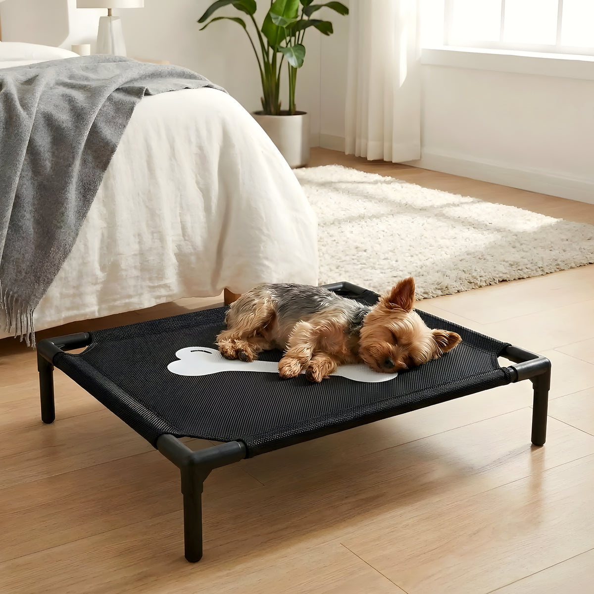 Petit lit de camp design os pour chien jusqu'à 7 kg