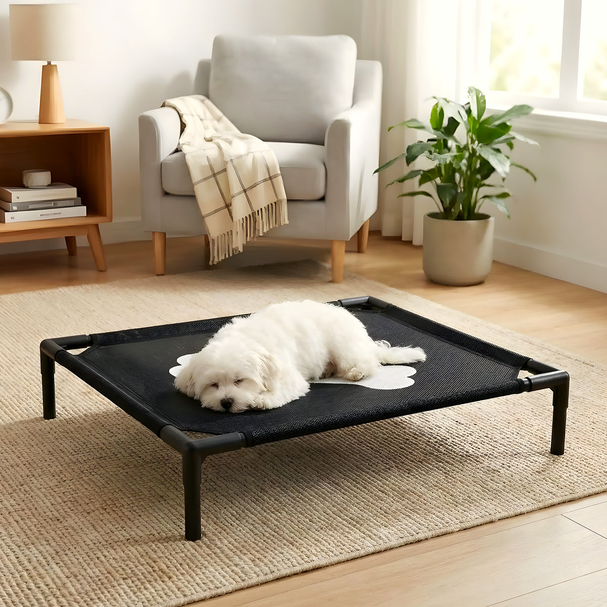 Petit lit de camp design os pour chien jusqu'à 7 kg