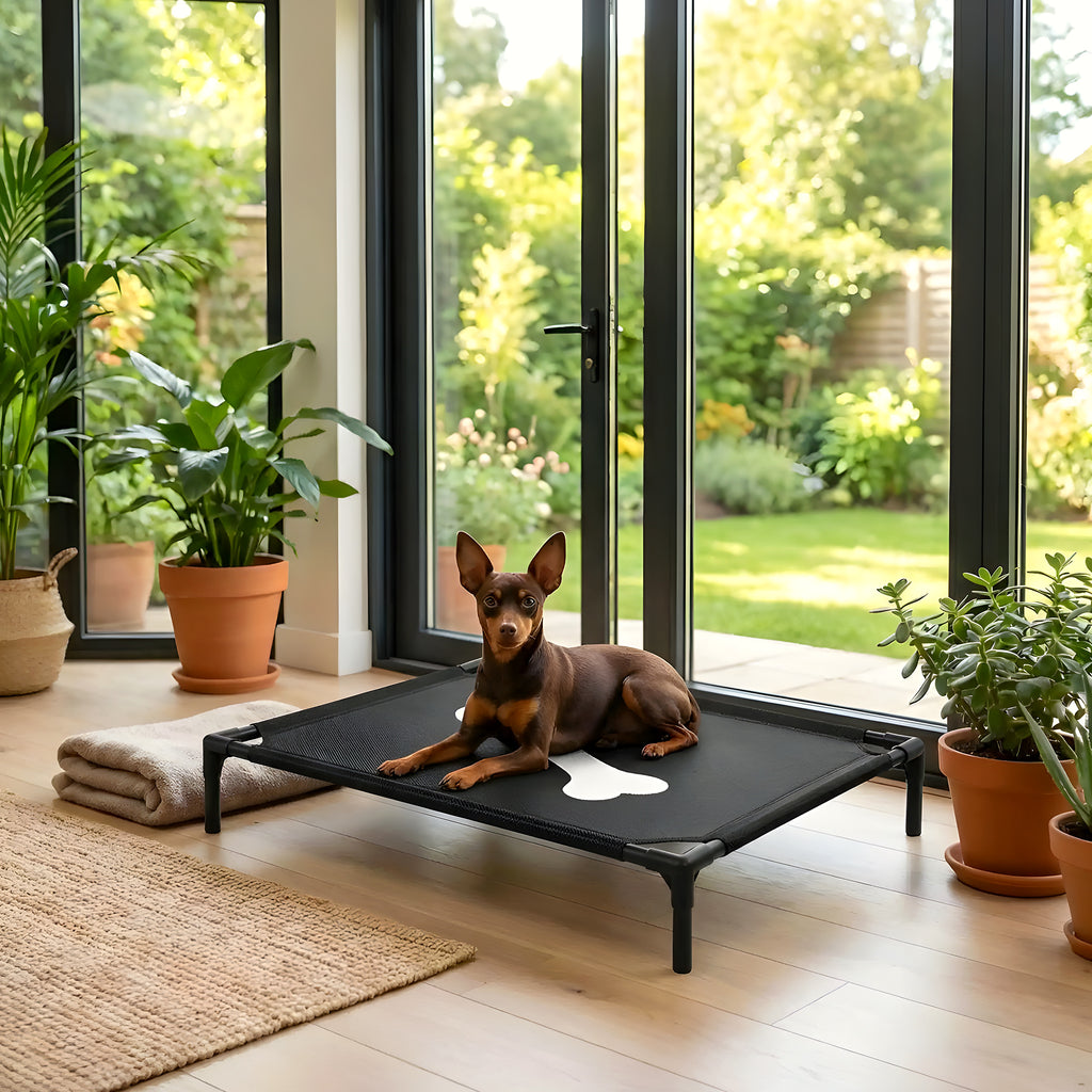 Petit lit de camp design os pour chien jusqu'à 7 kg