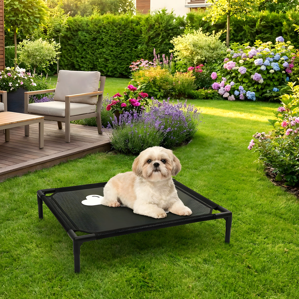 Petit lit de camp design os pour chien jusqu'à 7 kg
