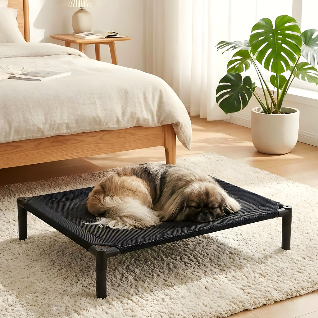 Petit lit de camp surélevé pour chien jusqu'à 15 kg