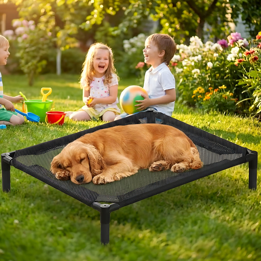 Petit lit de camp surélevé pour chien jusqu'à 15 kg