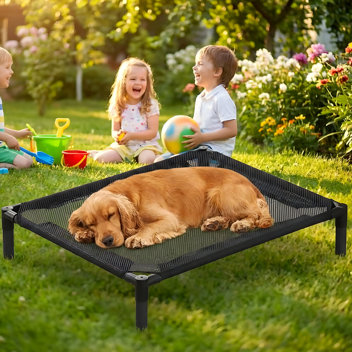 Petit lit de camp surélevé pour chien jusqu'à 15 kg