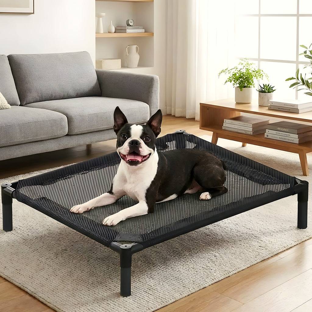 Petit lit de camp surélevé pour chien jusqu'à 15 kg