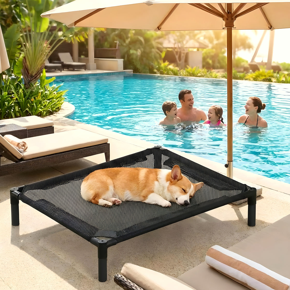 Petit lit de camp surélevé pour chien jusqu'à 15 kg