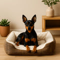 Petit panier en peluche marron pour chien