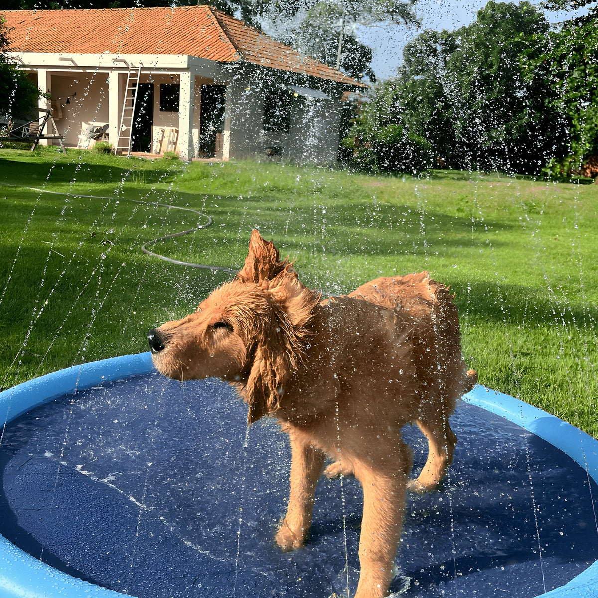 Piscine à jets d'eau pour chien, 3 diamètres