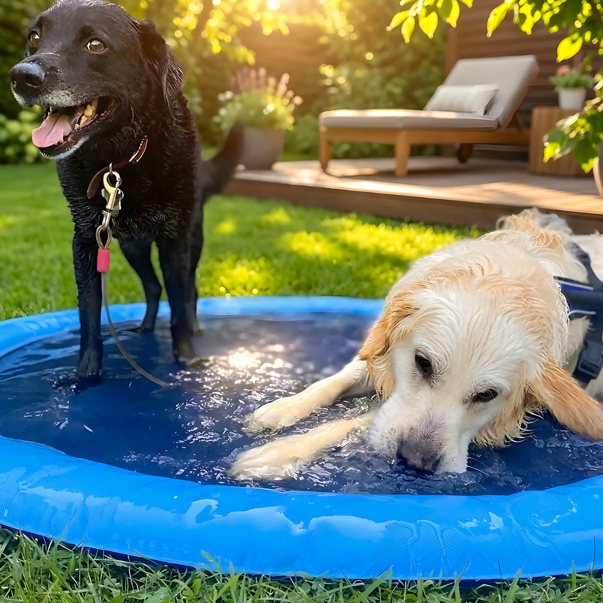 Piscine à jets d'eau pour chien, 3 diamètres