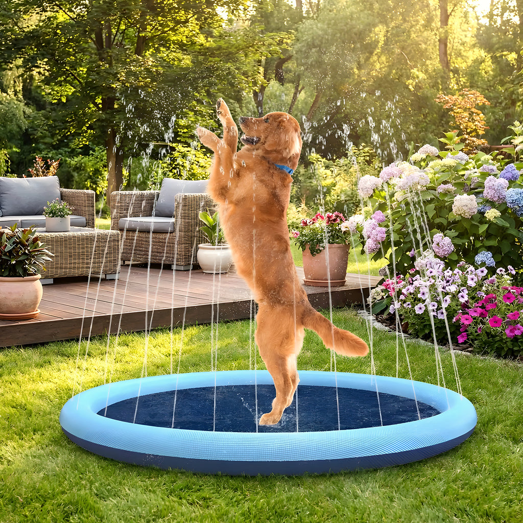 Piscine à jets d'eau pour chien, 3 diamètres
