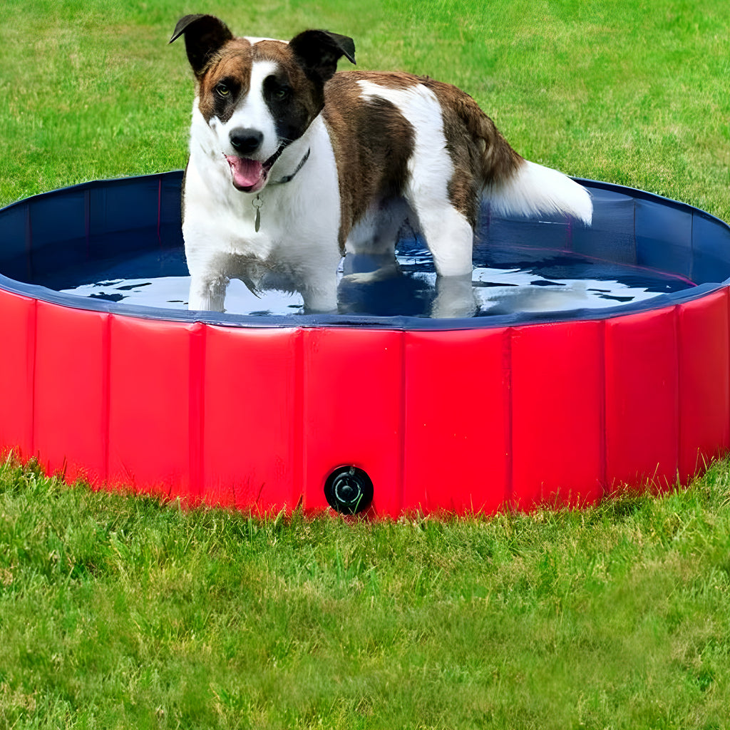 Piscine pliable 60 cm pour chiot et petit chien