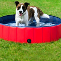 Piscine pliable 60 cm pour chiot et petit chien