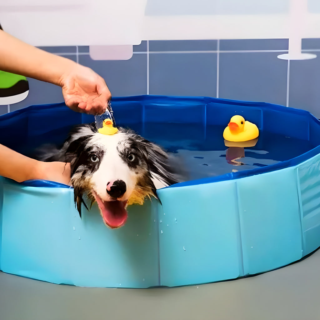 Piscine pliable 60 cm pour chiot et petit chien