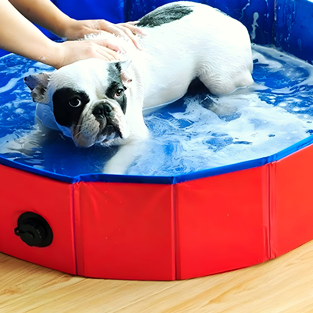 Piscine pliable 60 cm pour chiot et petit chien