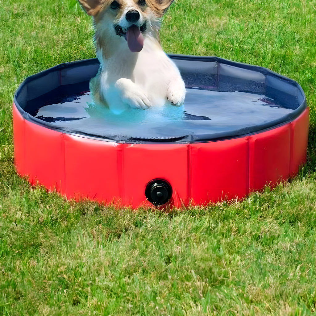 Piscine pliable 60 cm pour chiot et petit chien