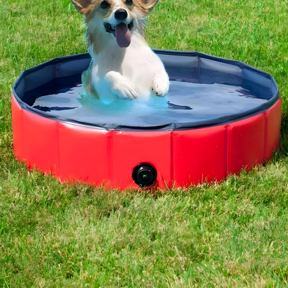 Piscine pliable 60 cm pour chiot et petit chien