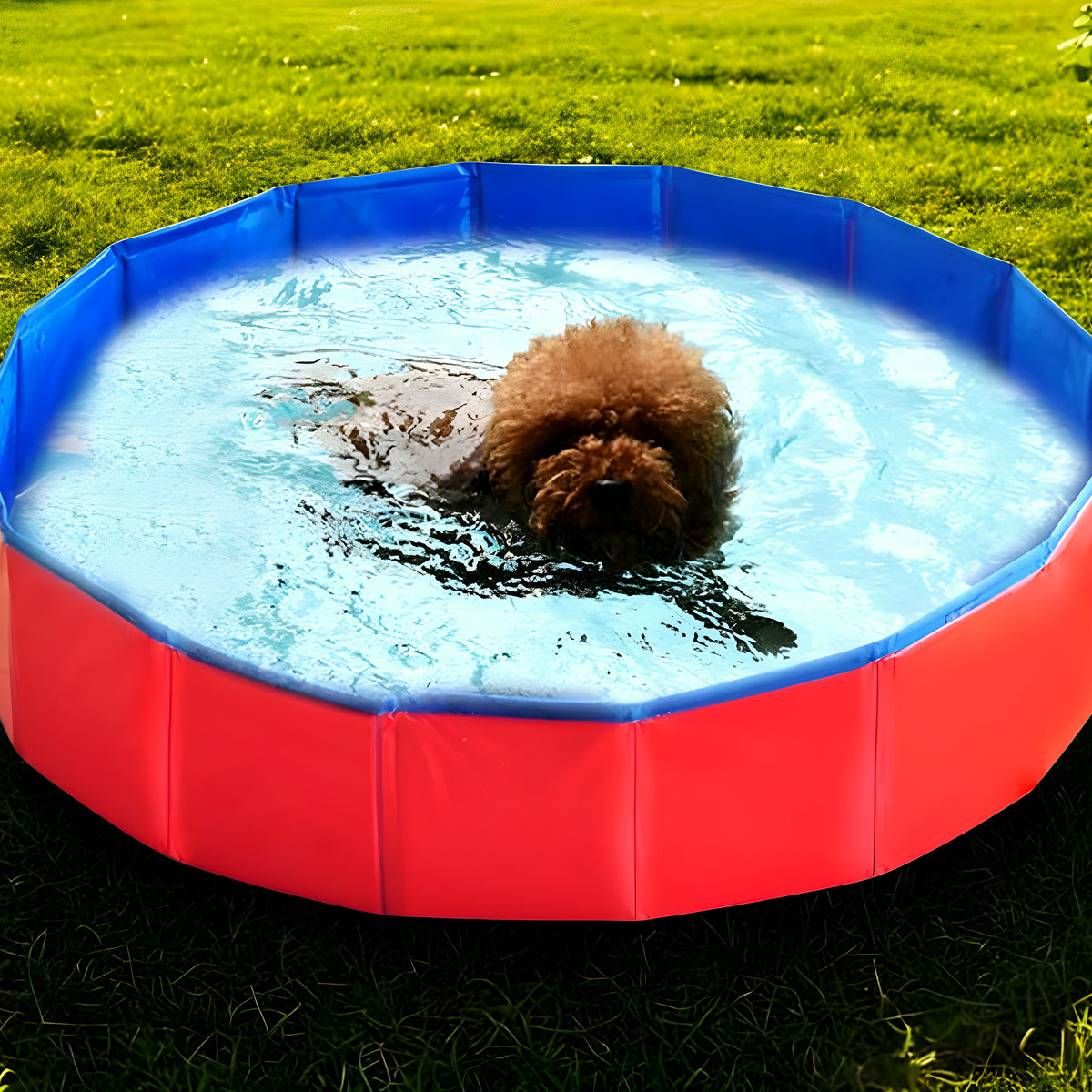 Piscine pliable 60 cm pour chiot et petit chien
