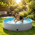 Piscine pliable XXL 160 cm pour grand chien