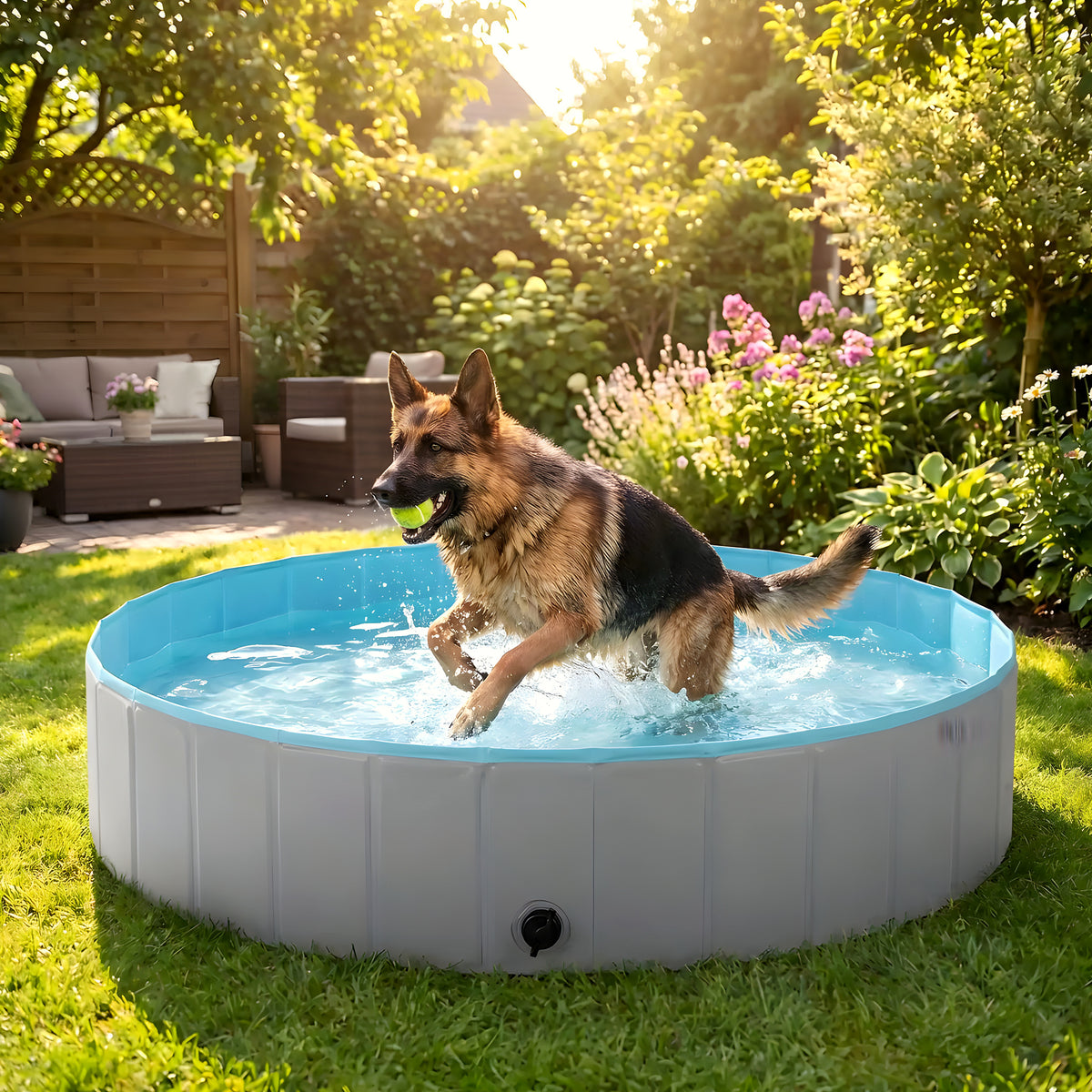 Piscine pliable XXL 160 cm pour grand chien