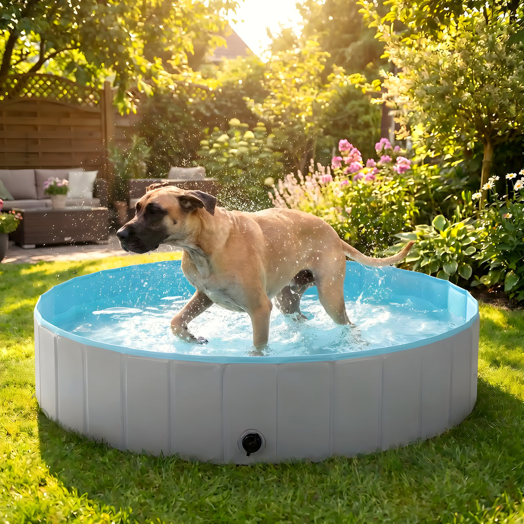 Piscine pliable XXL 160 cm pour grand chien