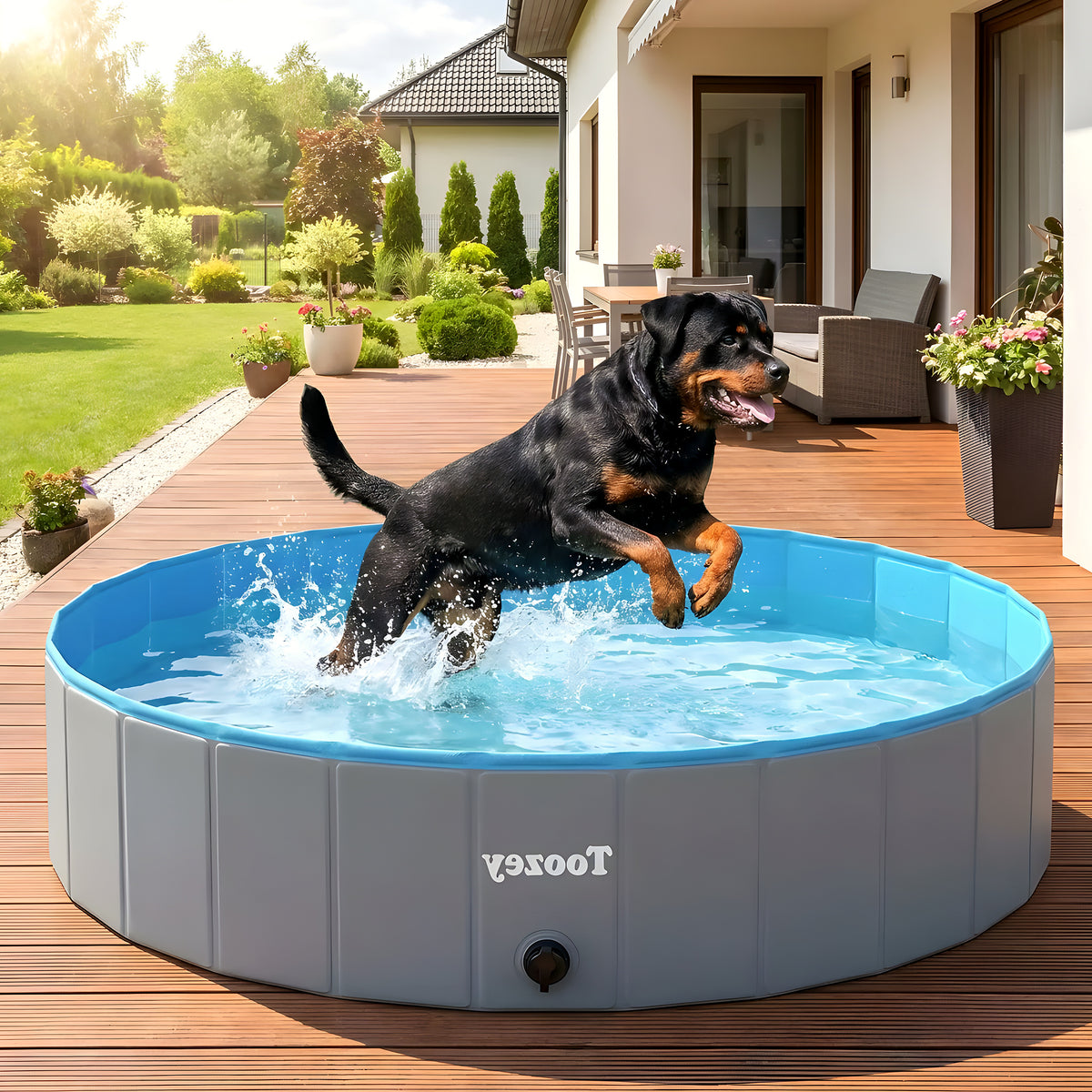 Piscine pliable XXL 160 cm pour grand chien