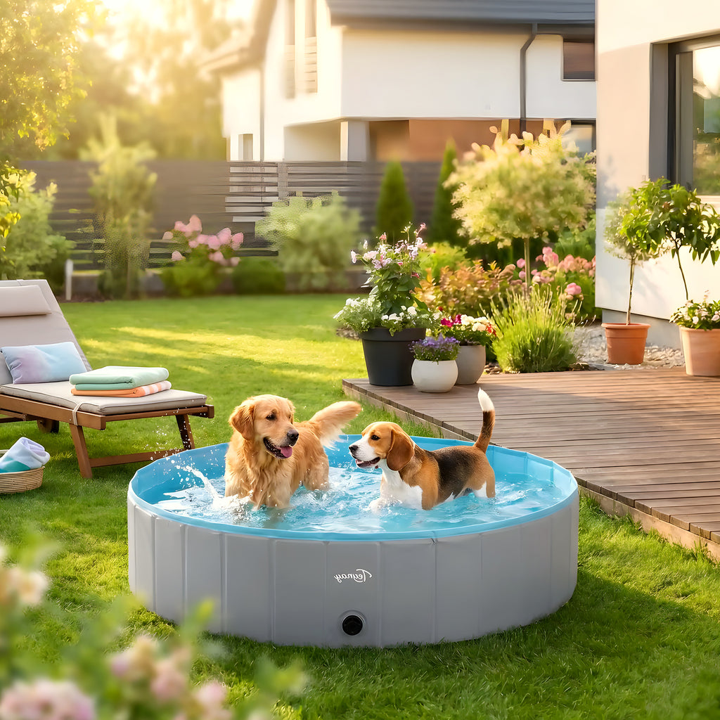 Piscine pliable XXL 160 cm pour grand chien