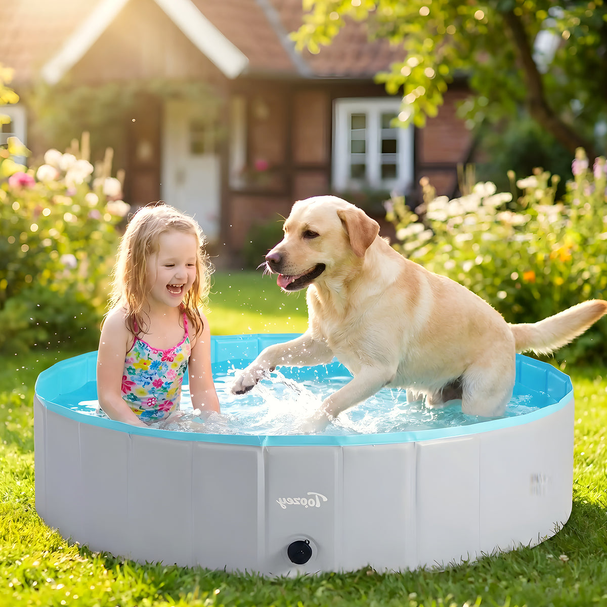 Piscine pliable XXL 160 cm pour grand chien