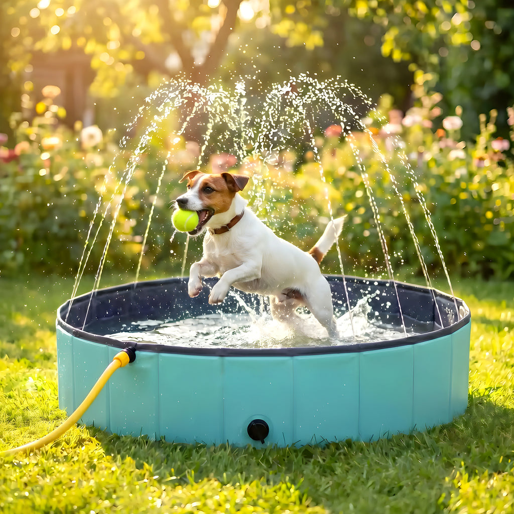 Piscine rigide 80 cm pour chiot et petit chien