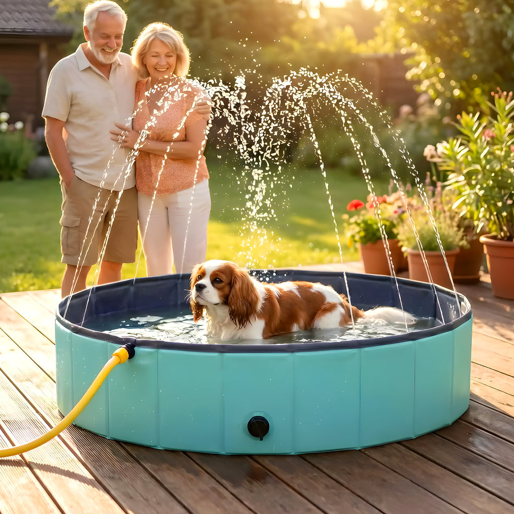 Piscine rigide 80 cm pour chiot et petit chien