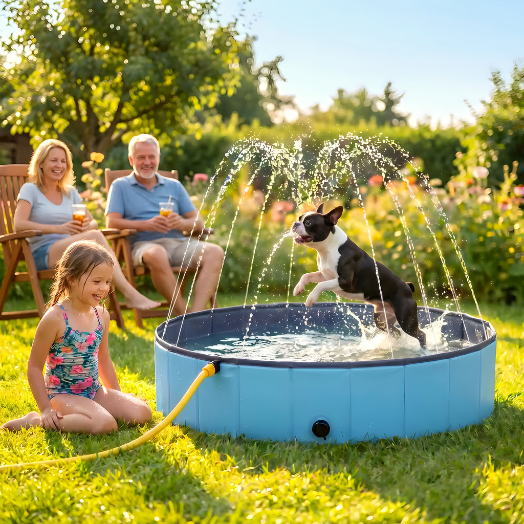 Piscine rigide 80 cm pour chiot et petit chien