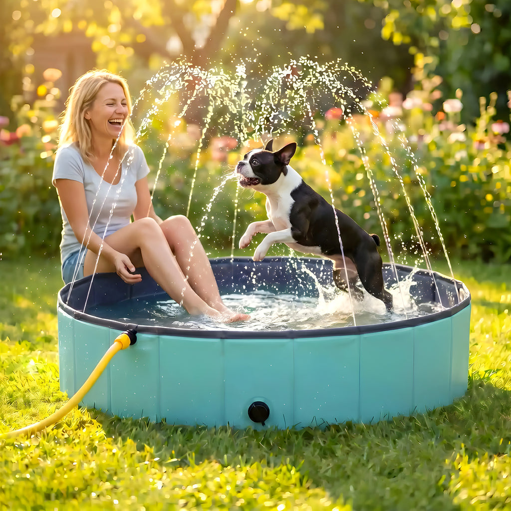 Piscine rigide 80 cm pour chiot et petit chien