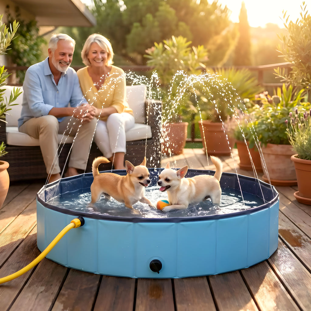 Piscine rigide 80 cm pour chiot et petit chien