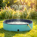 Piscine rigide 80 cm pour chiot et petit chien