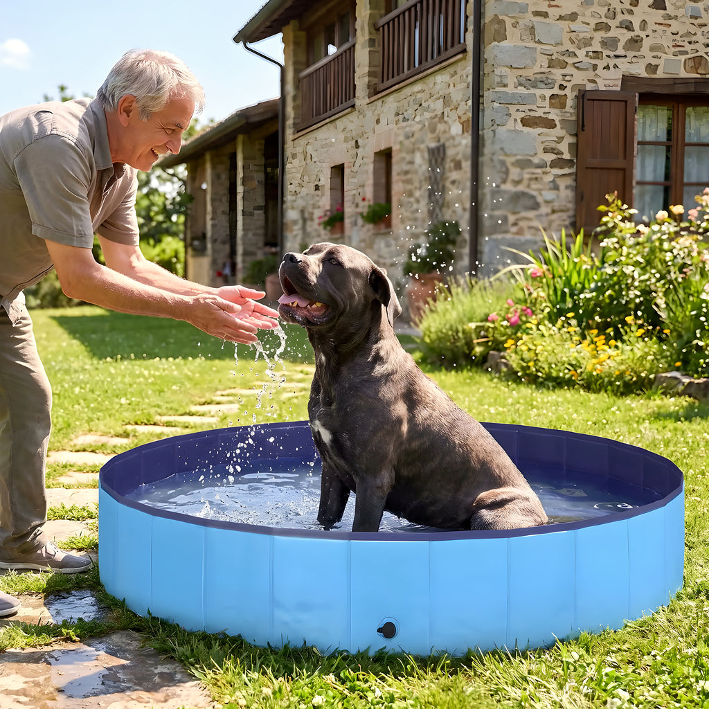 Piscine rigide géante Ø200 cm pour chien