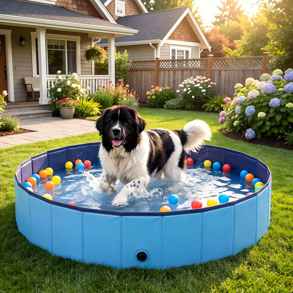 Piscine rigide géante Ø200 cm pour chien