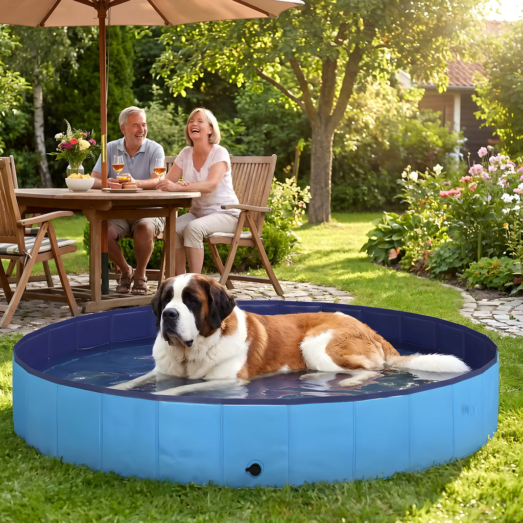 Piscine rigide géante Ø200 cm pour chien