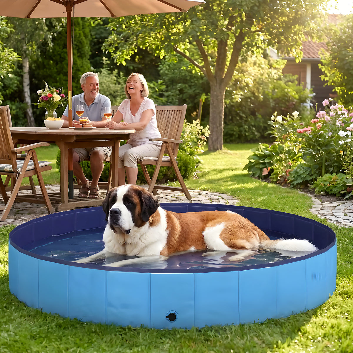 Piscine rigide géante Ø200 cm pour chien