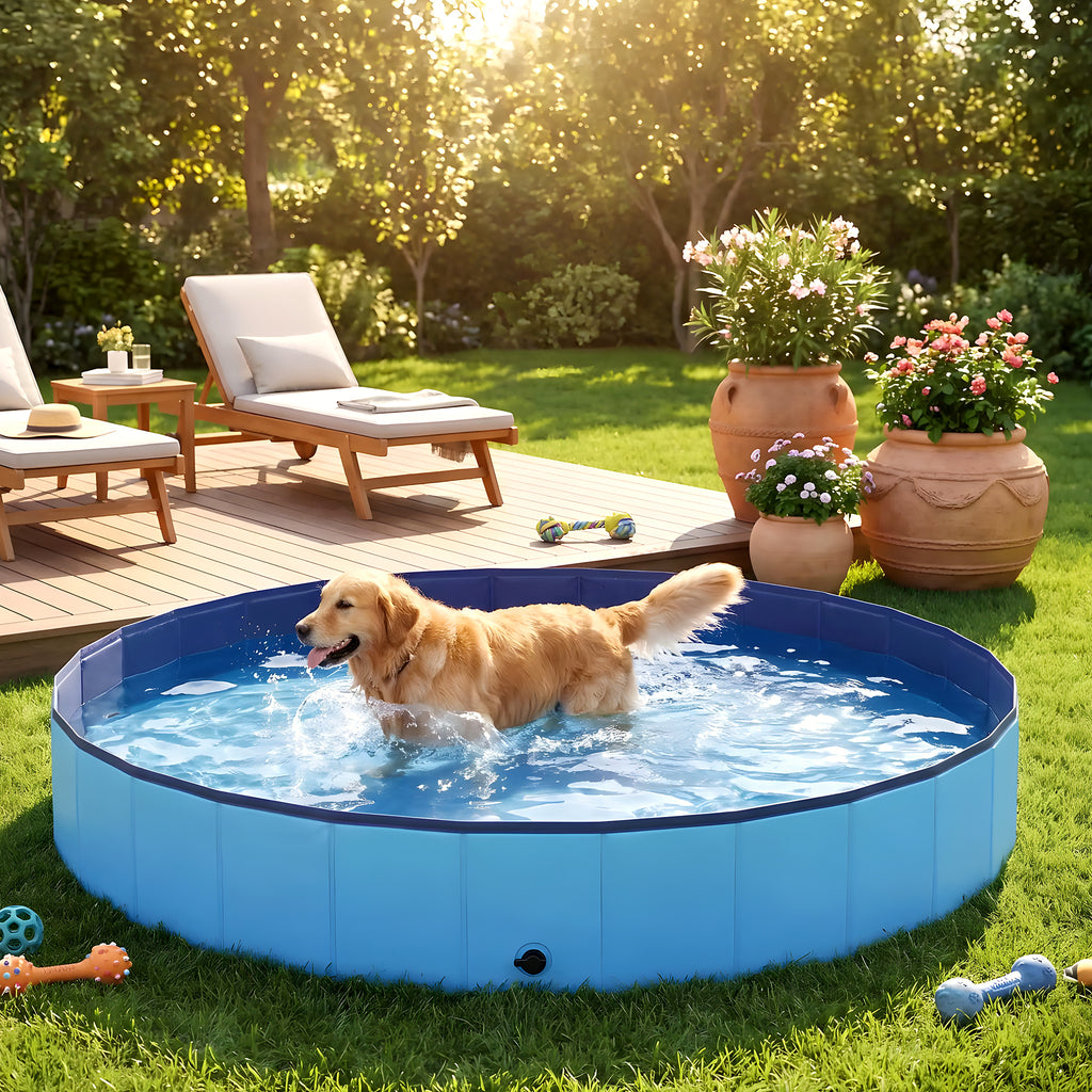 Piscine rigide géante Ø200 cm pour chien